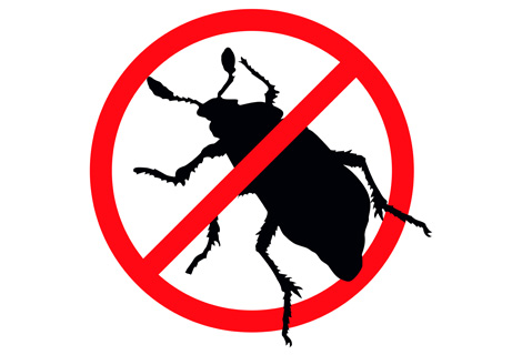 Stop pests
